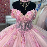 Gorgeous Pink Sweetheart Applique Beaded Sweet 16 Quinceanera A-Line Tulle Floor-length Prom Dress Birthday Dress Evening Dress Ball Gown HZ1024