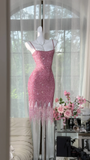 Vintage Pink Sparkling Sequin Spaghetti Strap Tassels Hem Romantic Evening Dress Prom Dresses HZ1024