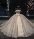 Elegant Shiny Champagne Off-the-shoulder Sweet 16 Quinceanera Tulle A-Line Prom Dress Birthday Dress Evening Dress Ball Gown HZ1024