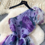 Elegant Diagonal Shoulder Three-dimensional Lace Printed Floral Mesh Dress HZ1024