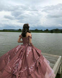 Elegant Pink Embroidery Off-the-shoulder Sweet 16 Quinceanera A-Line Prom Dress Birthday Dress Evening Dress Ball Gown HZ1024