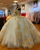 Gorgeous Sequin Applique V-neck Sweet 16 Quinceanera A-Line Prom Dress Birthday Dress Evening Dress Ball Gown HZ1024