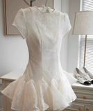 White Applique Design A-line Lace Short-sleeved Party Dress Homecoming Dresses HZ1024