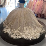 Elegant Ivory V-neck Applique Sweet 16 Quinceanera A-Line Prom Dress Birthday Dress Evening Dress Ball Gown HZ1024