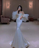 Mermaid Long Prom Dress Charming Evening Dress HZ1024