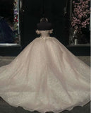 Elegant Shiny Champagne Off-the-shoulder Sweet 16 Quinceanera Tulle A-Line Prom Dress Birthday Dress Evening Dress Ball Gown HZ1024
