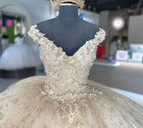 Elegant Ivory V-neck Applique Sweet 16 Quinceanera A-Line Prom Dress Birthday Dress Evening Dress Ball Gown HZ1024
