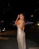 Elegant Silvery Sparkling Rhinestone Evening Gown Sheath Party Dress Long Formal Dress HZ1024