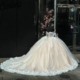 Elegant Ivory Applique Sweet 16 Quinceanera Tulle A-Line Prom Dress Birthday Dress Evening Dress Ball Gown HZ1024