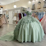 Elegant Sage Green Applique Off-the-shoulder Sweet 16 Quinceanera A-Line Tulle Floor-length Prom Dress Birthday Dress Evening Dress Ball Gown HZ1024
