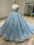 Gorgeous Blue Sweetheart Applique Sweet 16 Quinceanera A-Line Floor-length Prom Dress Birthday Dress Evening Dress Ball Gown HZ1024