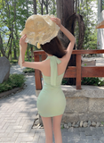 New Style Light Green Appliqued Tight Design A-line Halter Homecoming Dress HZ1024