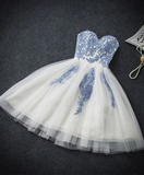 Vintage Blue Sweetheart Embroidery Design A-line Tulle Party Dress Homecoming Dress HZ1024