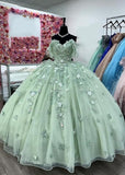 Gorgeous Sage Green Applique Sweetheart Off-the-shoulder Sweet 16 Quinceanera A-Line Floor-length Prom Dress Evening Dress Ball Gown HZ1024