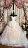 Retro Light Pink Sweetheart Applique Strapless Tulle Sweet 16 Quinceanera A-Line Evening Dress Ball Gown HZ1024