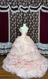 Gorgeous Pink 3D Flowers Sweet 16 Quinceanera Strapless A-Line Floor-length Prom Dress Evening Dress Ball Gown HZ1024