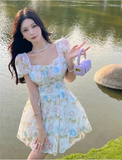 New Fashion Floral Design Lace Short Sleeve Puffy Dress HZ1024