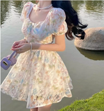 New Fashion Floral Design Lace Short Sleeve Puffy Dress HZ1024