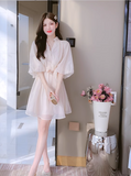 New Simple Fashion Puff Sleeves Design A-Line Dress HZ1024