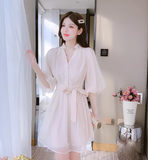 New Simple Fashion Puff Sleeves Design A-Line Dress HZ1024