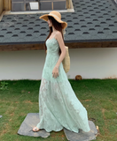 Simple Elegant Floral Lace Design A-line Spaghetti Strap Dress HZ1024