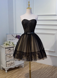 Charming Black Floral Embroidery Design Elegant Mesh Spaghetti Strap Homecoming Dress HZ1024