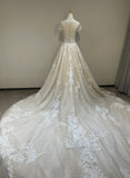 Tulle Long Neckline Tulle With Lace Applique Wedding Party Dress, Tulle Wedding Dress HZ1024