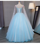 Cute Blue Fairy Butterfly Lace Ball Gown Prom Dress, Sweet 16 Party Dress HZ1024