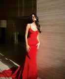 Burgundy Sexy Mermaid Spaghetti Strap Ball Gown HZ1024