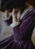 Elegant Purple Velvet A-Line Long Sleeve Maxi Dress HZ1024