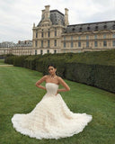 Ivory A-line Tulle Layered Pleated Princess Ball Gown Evening Dress HZ1024