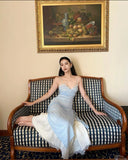 Elegant Blue Spaghetti Strap Lace Trim Ball Gown Evening Gown HZ1024