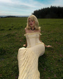 Chic Light Yellow Two-Piece Mermaid Lace Floor-Mounting Ball Gown Evening Dress HZ1024