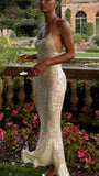 Simple Champagne Strap Sequin Mermaid Backless Ball Gown Evening Dress HZ1024