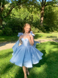 Sweet Blue A-line Strap Sleeveless Satin Bow Mini Party Dress Homecoming Dress HZ1024