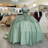 Gorgeous A-line Tutu Off-shoulder 3D Flower Strap Train Formal Prom Dress Evening Gown HZ1024
