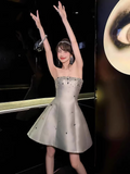 Vintage Silvery Beading Strapless Design A-line Party Dress Homecoming Dress HZ1024