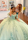 Gorgeous Sage Green Applique Sweetheart Off-the-shoulder Sweet 16 Quinceanera A-Line Floor-length Prom Dress Evening Dress Ball Gown HZ1024