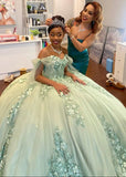Gorgeous Sage Green Applique Sweetheart Off-the-shoulder Sweet 16 Quinceanera A-Line Floor-length Prom Dress Evening Dress Ball Gown HZ1024