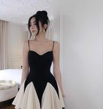 Vintage Cute Sweetheart Homecoming Dress Spaghetti Strap Party Dress Short A-Line Cocktail Dress HZ1024