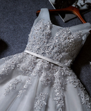Vintage Gray Applique Design A-line Tulle Party Dress Homecoming Dress HZ1024