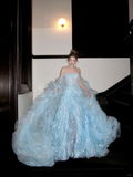 Gorgeous Shiny Light Blue Strapless Design A-Line Tulle Wedding Dress Prom Dress Evening Dress HZ1024