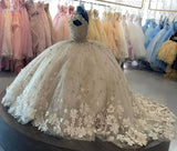 Elegant Ivory V-neck Applique Sweet 16 Quinceanera A-Line Prom Dress Birthday Dress Evening Dress Ball Gown HZ1024