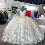 Elegant Ivory V-neck Applique Sweet 16 Quinceanera A-Line Prom Dress Birthday Dress Evening Dress Ball Gown HZ1024