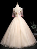 Champagne V-Neck Tulle Lace Long Prom Dress, A-Line Lovely Evening Party Dress HZ1024