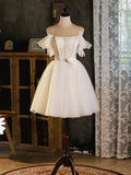 Light Champagne Spaghetti Strap Tulle Party Dress, Beautiful A-Line Evening Prom Dress HZ1024