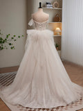 Light Champagne Tulle Long Princesse Dress, Lovely Spaghetti Straps Evening Party Dress HZ1024