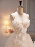 Spaghetti Strap Tulle Champagne Long Prom Dress, Champagne Evening Party Dress HZ1024