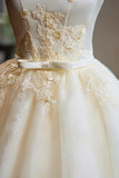 Lovely Knee Length Tulle Party Dress, Champagne Off the Shoulder Homecoming Dress HZ1024