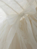 Light Champagne Ball Gown Tulle Sweetheart Long Prom Dress, Beautiful Formal Dress Sweet 16 Dress HZ1024